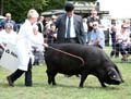 IMG_0535