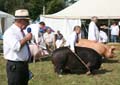 IMG_2880