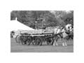 IMG_1716bw
