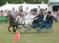 IMG_1497