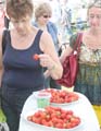 IMG_2352
