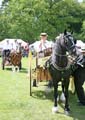 IMG_2984