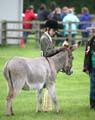 IMG_3799