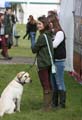 IMG_0747