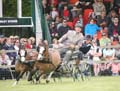 IMG_3939