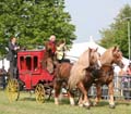 IMG_0636