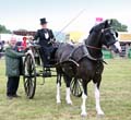 IMG_0941