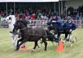 IMG_1012