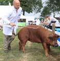 IMG_1755
