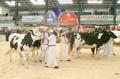 IMGa_0074