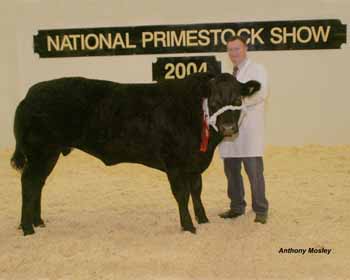 ANM-NPS-1104-387