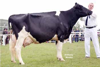 ANM-NCS-507-1766 copy