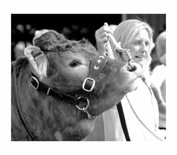 IMG_0618 BW