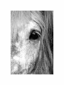 IMG_1042 BW