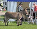 IMG_1110