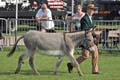IMG_1112