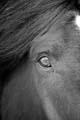 IMG_0047 BW