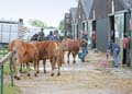 IMG_0092