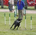IMG_0377
