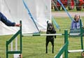 IMG_0384