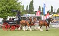 IMG_0476