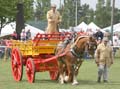 IMG_0761