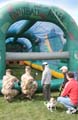 IMG_1565