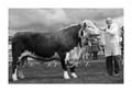 ANM-NCS-517-BW-0227