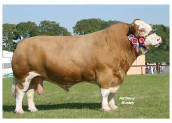 ANM-PS-805-2362