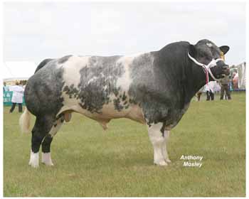 ANM-PS-806-7127