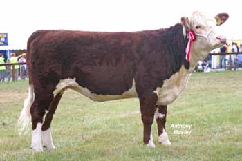 ANM-PS-806-7324