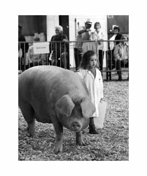 ANM-RBW-519-BW-0902