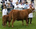 IMG_1463