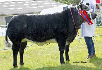 ANM-RCS-619-2048