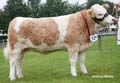 ANM-RCB-914-4220