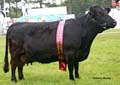 ANM-RCB-914-4376