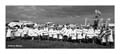 ANM-RCB-914-BW-5072
