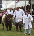 IMG_1164a