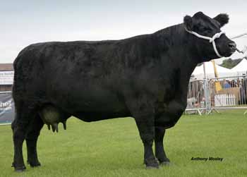 ANM-RCB-916-1602