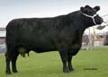 ANM-RCB-916-1602