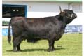 ANM-RHS-605-6850