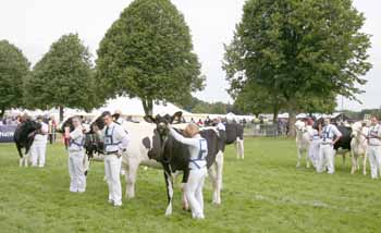IMG_0488