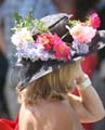 IMG_0263