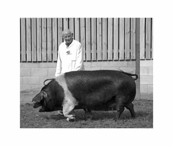 IMG_0771 BW