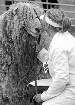 IMG_5521 BW