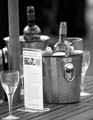 IMG_3096 BW