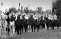 IMG_3175 BW