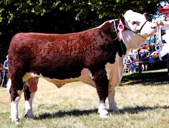 ANM-RNS-618-2684