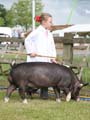IMG_3221