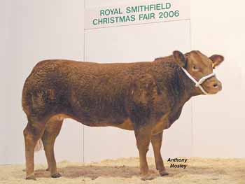 ANM-RSS-1206-0947